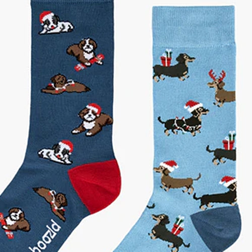 Bamboozld Mens Dashing Boy Socks 2PK Xmas Cracker Multi